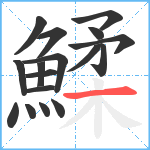 鰇笔顺分解图片17