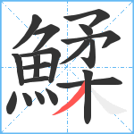 鰇笔顺分解图片19