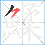 鰇笔顺分解图片2