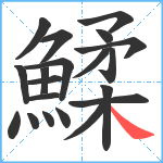 鰇笔顺分解图片20