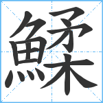 鰇笔顺分解图片21