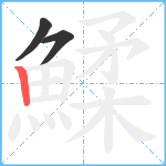 鰇笔顺分解图片3