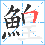 鰉笔顺分解图片14