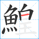 鰉笔顺分解图片15