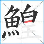 鰉笔顺分解图片16