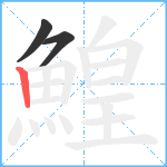 鰉笔顺分解图片3