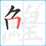 鰉笔顺分解图片4