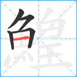 鰉笔顺分解图片5