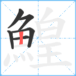 鰉笔顺分解图片6