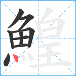 鰉笔顺分解图片9