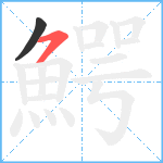 鰐笔顺分解图片2