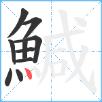 鰔笔顺分解图片10