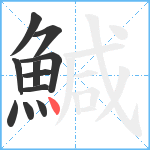 鰔笔顺分解图片11