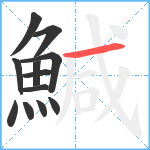 鰔笔顺分解图片12