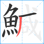 鰔笔顺分解图片13