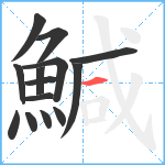 鰔笔顺分解图片14