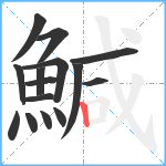 鰔笔顺分解图片15