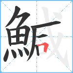 鰔笔顺分解图片16