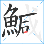 鰔笔顺分解图片17