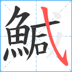 鰔笔顺分解图片18