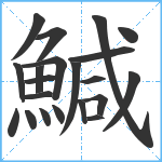 鰔笔顺分解图片21