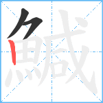 鰔笔顺分解图片3