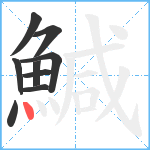 鰔笔顺分解图片9