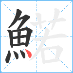 鰙笔顺分解图片11