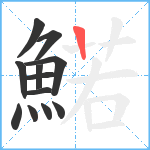 鰙笔顺分解图片12