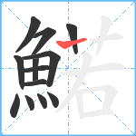 鰙笔顺分解图片13