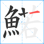 鰙笔顺分解图片14