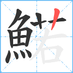 鰙笔顺分解图片15