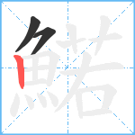 鰙笔顺分解图片3