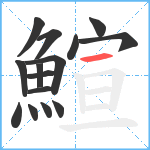 鰚笔顺分解图片15