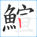 鰚笔顺分解图片16