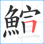 鰚笔顺分解图片17