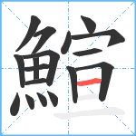 鰚笔顺分解图片18