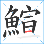 鰚笔顺分解图片19