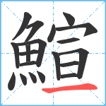 鰚笔顺分解图片20