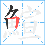 鰚笔顺分解图片4