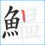 鰛笔顺分解图片12