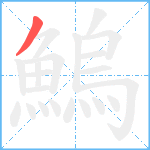 鰞笔顺分解图片1