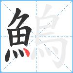 鰞笔顺分解图片11