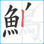 鰞笔顺分解图片13