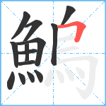 鰞笔顺分解图片14