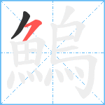 鰞笔顺分解图片2