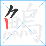 鰞笔顺分解图片3