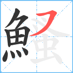 鰠笔顺分解图片12