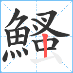 鰠笔顺分解图片19