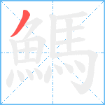 鰢笔顺分解图片1